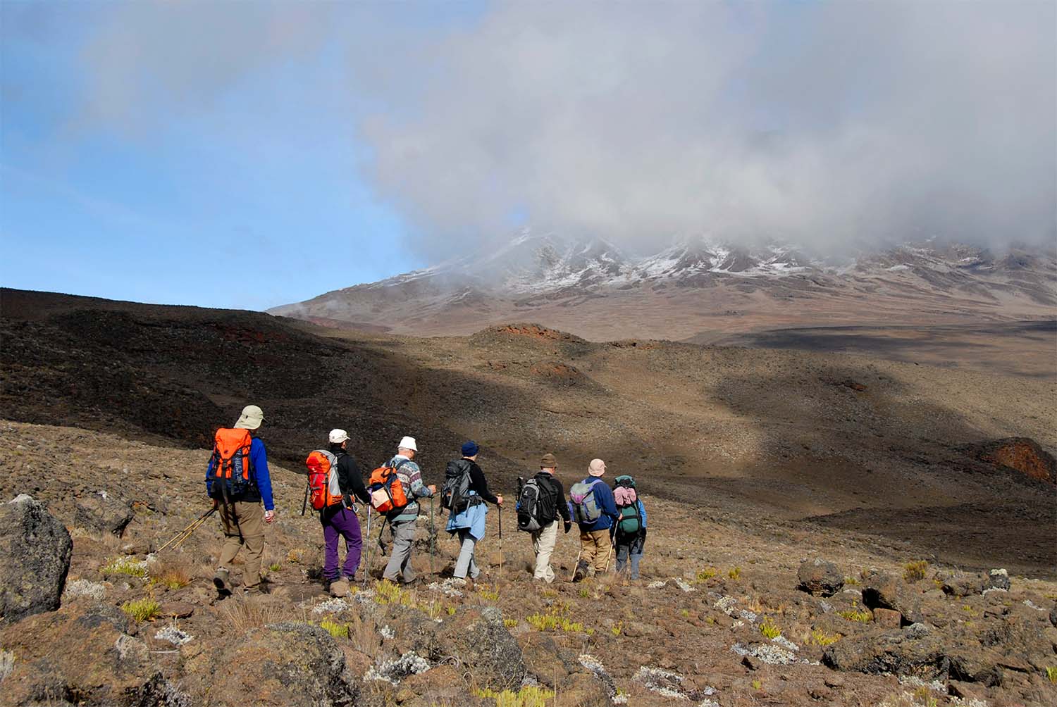 Kilimanjaro Day Hike & Kikuletwa Hot Springs