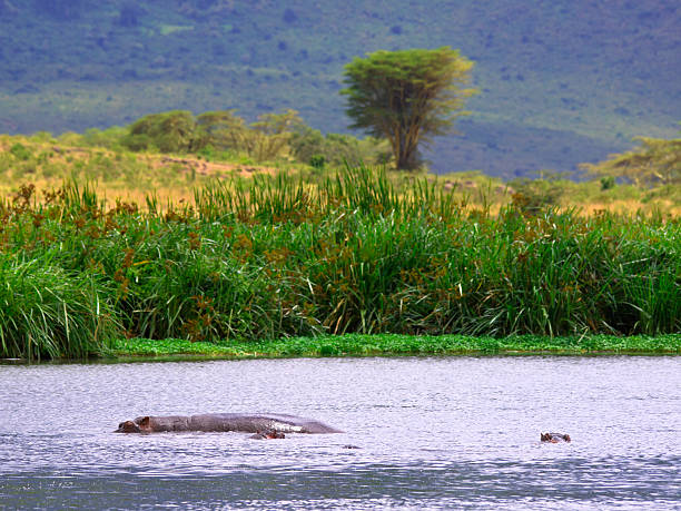 Arusha National Park Day Excursion