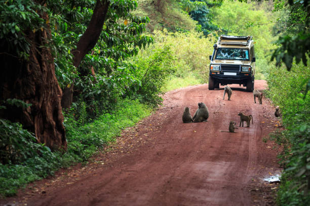 Arusha National Park Day Excursion