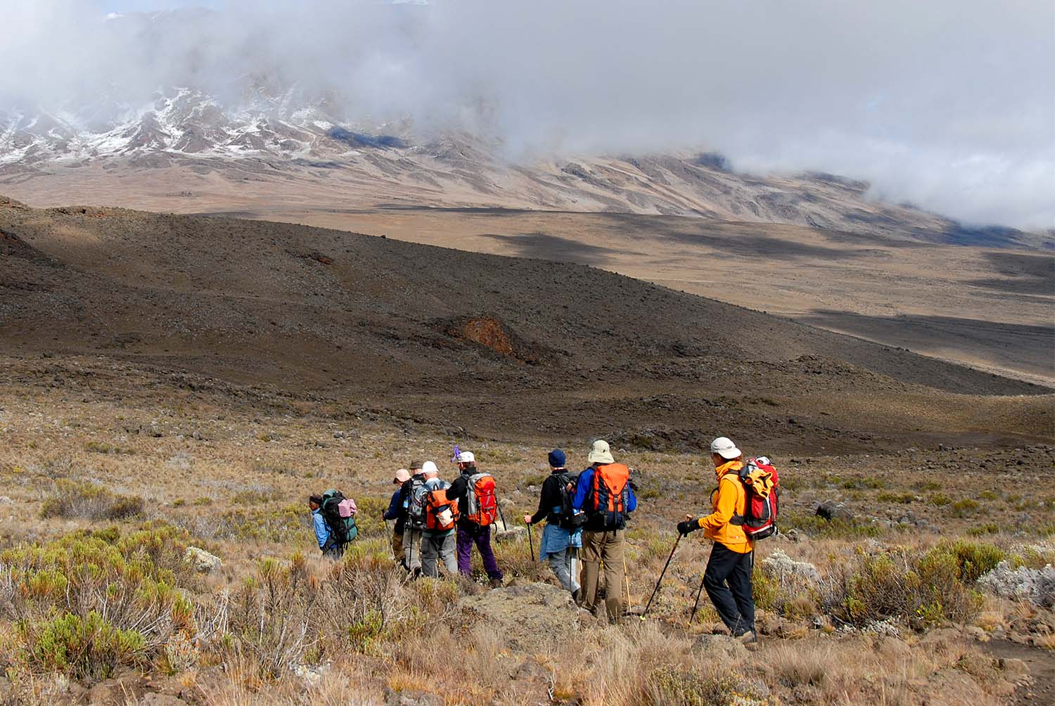 Kilimanjaro Trekking | 10-Day Kilimanjaro & Zanzibar