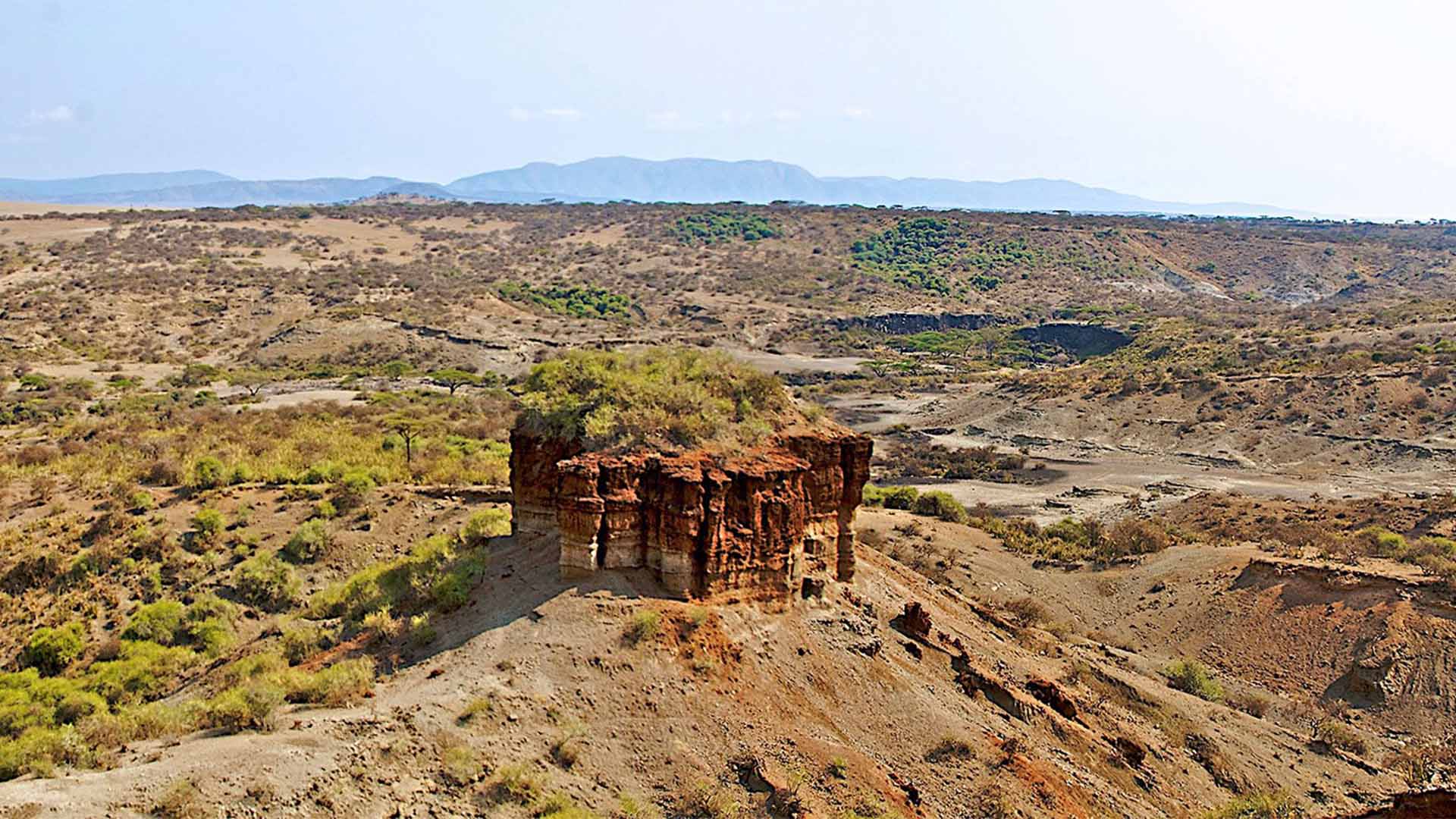Ngorongoro Crater Safari