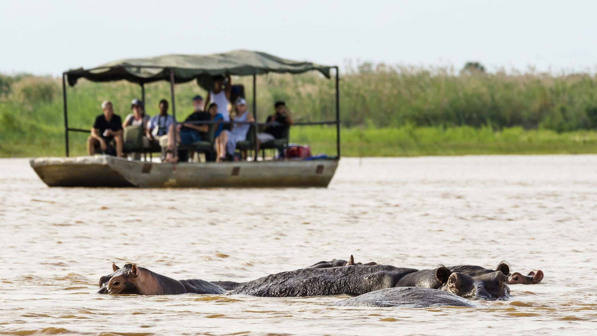 Tanzania Safari Company